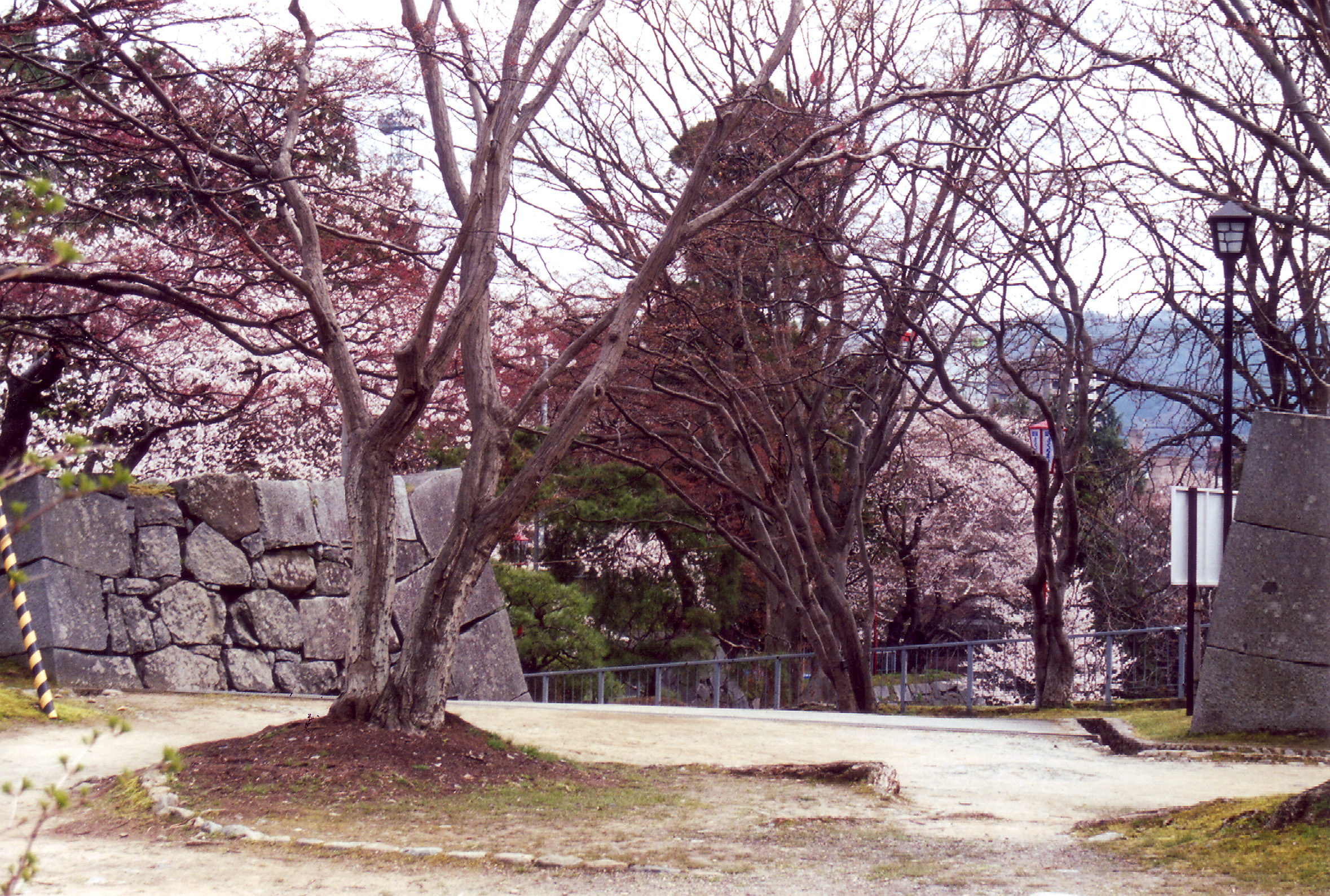 4_Iwate_Park1.JPG