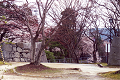 4_Iwate_Park1_thumb.png